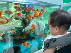 -中国杭州低碳科技馆