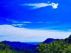 -大岭沟猕猴桃谷风景区