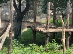 -北京野生动物园