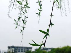 -南京邮电大学(仙林校区)