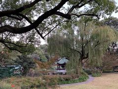 -申粤轩酒楼·三十年粤菜经典(丁香花园店)