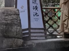 -杭州第一世界大酒店·云曼温泉