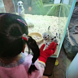 点击看大图 -宝燕乐园(闵行旗舰店)