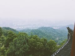 -云碧峰国家森林公园