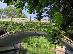 -环城公园