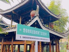 -紫鹊界梯田景区