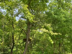 -WeLope紫金山探险公园