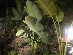 -美林湖温泉别墅度假村