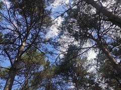 -长春净月潭风景名胜区