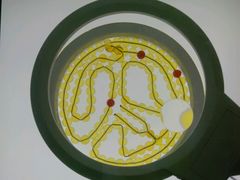 -上海昆虫博物馆