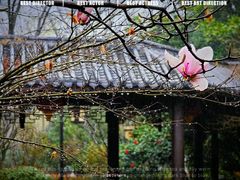 -武汉园博园(武汉自然博物馆)