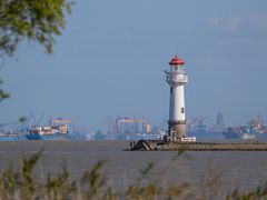 -上海吴淞炮台湾国家湿地公园