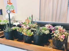 -肥朵食堂(带梦胡同店)