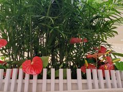 -LANN I 蘭 SPA(陆家嘴中心店)