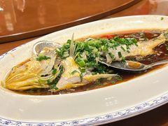 -东瓯大酒店(温州梧田老街店)