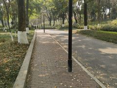 -重庆彩云湖湿地公园
