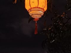 -万绿园
