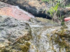 -深圳湾公园(南山区)