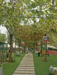 -萌宠亲子动物乐园(槐房万达店)