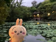 -西湖公园(鼓楼区)