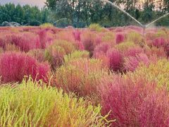 -汉长安城未央宫国家考古遗址公园