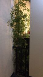 -盘子女人坊古装写真摄影(天津总店)