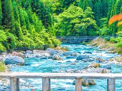 -瓦屋山景区