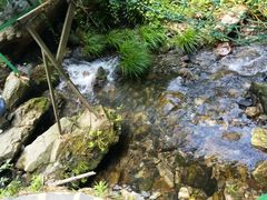 -夏霖九天银瀑风景区