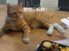 -百味源炭火烤翅 ·夜市大排档(酒仙桥店)
