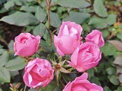 -人民公园(罗湖区)