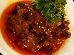 -舌尖记忆重庆火锅(悉尼店)