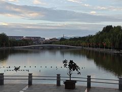 -章樾公园