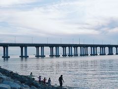 -宝安西湾红树林湿地公园