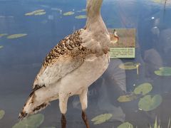 -下渚湖国家湿地公园科普馆