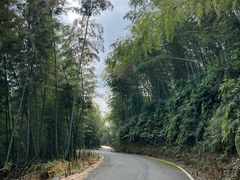 -江西阳明山国家森林公园