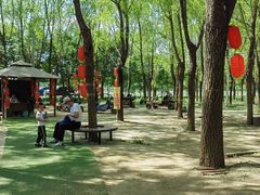 -草根堂农场