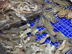 -高佳庄·舟山海鲜(海景旗舰店)