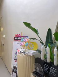 -Fundi张玉珊修身堂·indiba·BTL科技瘦身