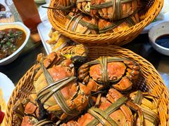 -蟹村草堂·苏式园林人文农家·大闸蟹