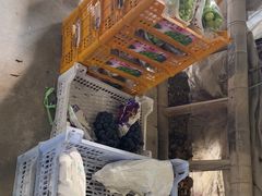 -马陆小张葡萄园农家乐