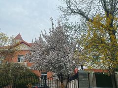 -天津五大道文化旅游区