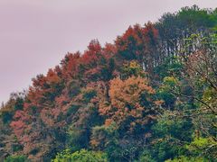 -桂林古东瀑布景区