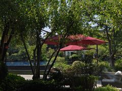 -杭州西子湖四季酒店-WL BISTRO西湖餐厅(灵隐路店)