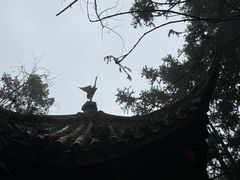 -窦圌山风景区