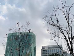 -北京金融街丽思卡尔顿酒店·意味轩 Cepe