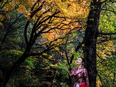 -叠溪松坪沟景区