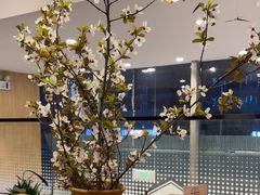 -Makumo·卷云家庭料理餐厅(美糖广场店)