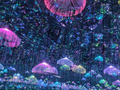 -深圳独角兽星空艺术馆