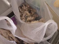 -大自然农场蔬菜草莓采摘园