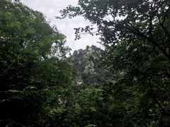 -北京上方山国家森林公园